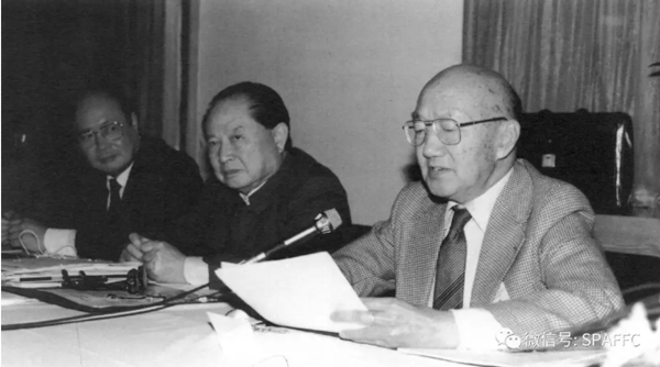 040301-林同炎先生与时任上海市市委书记江泽民研讨浦东开发（2）.png